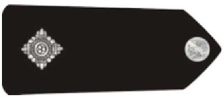 Assistant Superintendent 